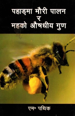 पहाड़मा मौरी पालन र महको औषधीय गुण | Pahadma Mouri Palan Ra Mahko Aushadhiya Gun